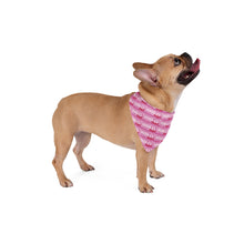 Load image into Gallery viewer, Doodles Are Dope Dog Bandana - Light Pink