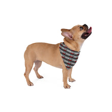 Load image into Gallery viewer, Doodles Are Dope Dog Bandana - Black