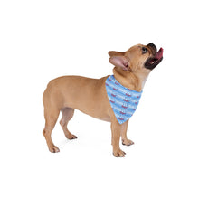 Load image into Gallery viewer, Doodles Are Dope Dog Bandana - Light Blue