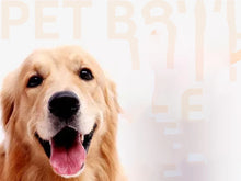 Load image into Gallery viewer, Collapsible Portable Dog Bowl